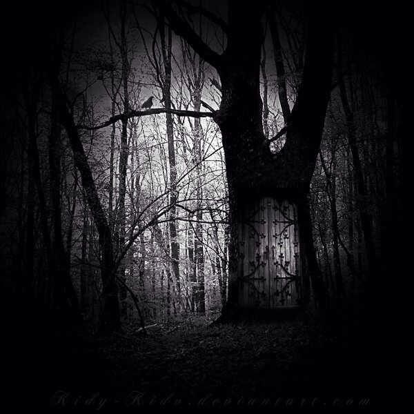 The Knock on the Other End of the Door Image