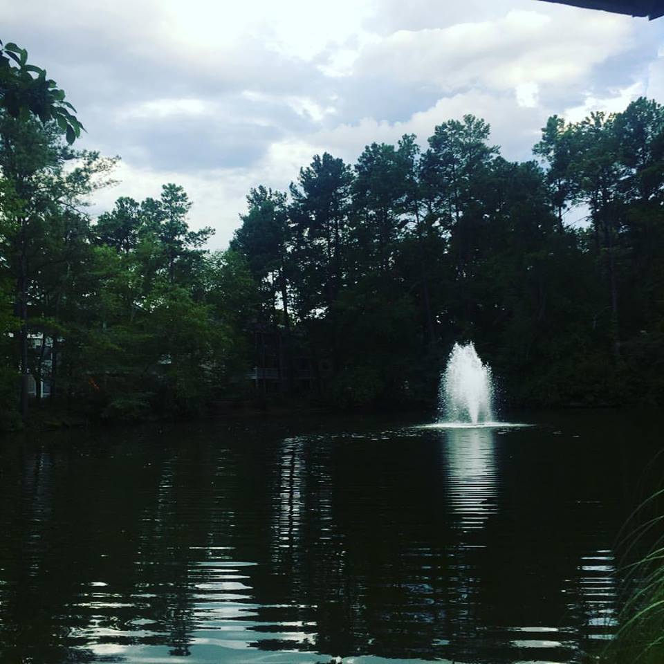 Harbison Recreation Center Water Fountain