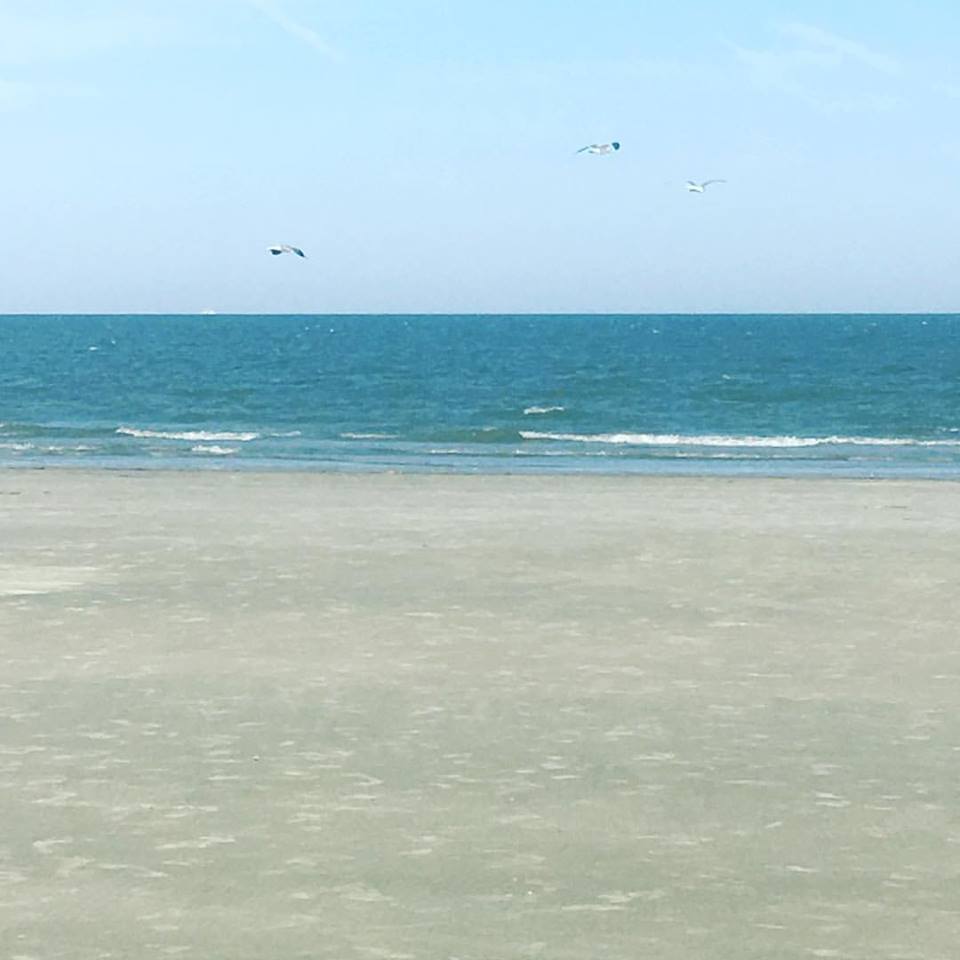 Sullivan's Island Beach Trip Eight