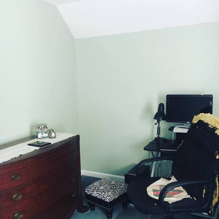 Painted Room Laneys Room